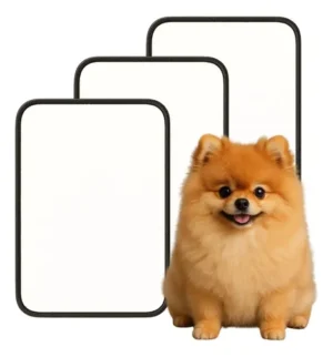 Kit 3 Tapete Higienico Caes Tam M 70 X 50cm Lavavel Xixi Sim